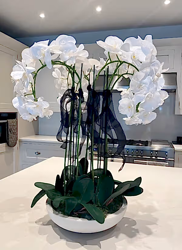 Large Orchid arrangement in a bowl - Image 3