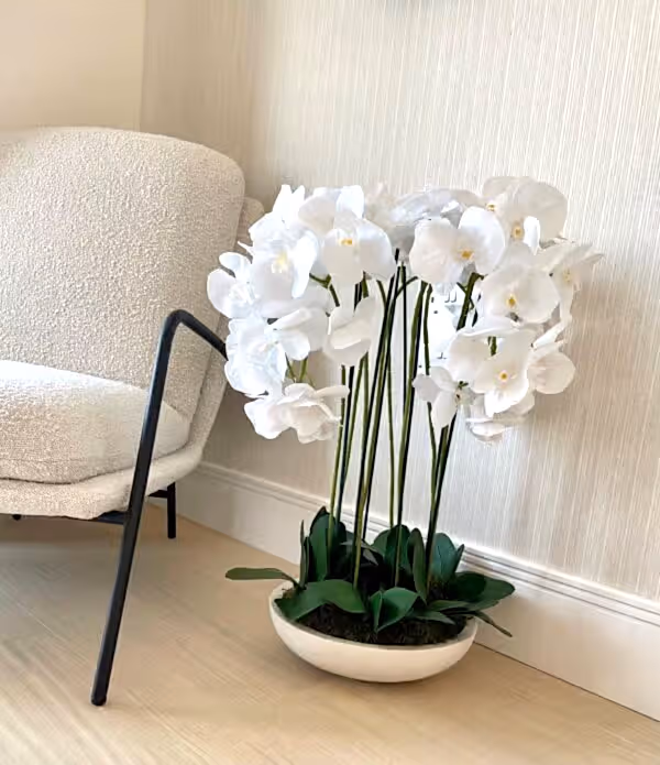Large Orchid arrangement in a bowl - Image 2