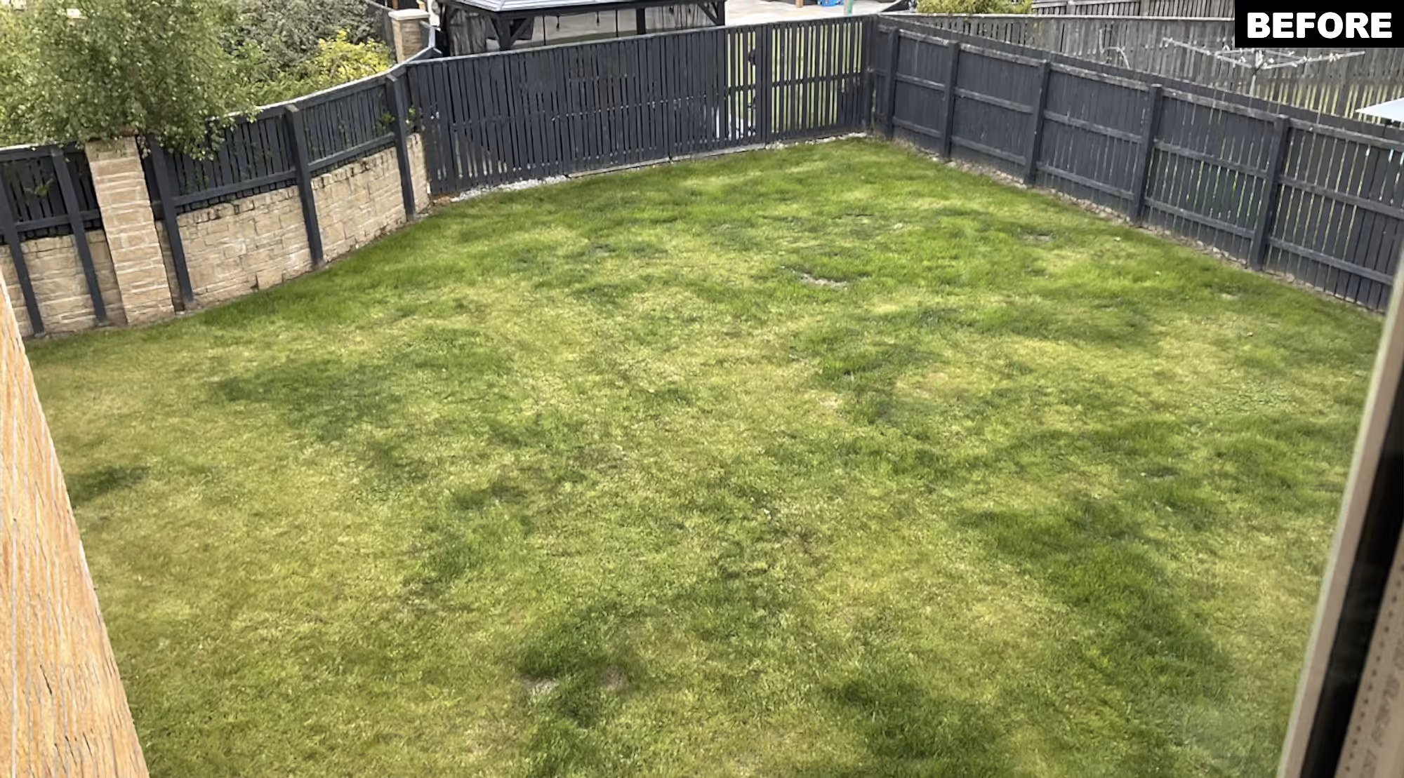 Before Garden Transformation